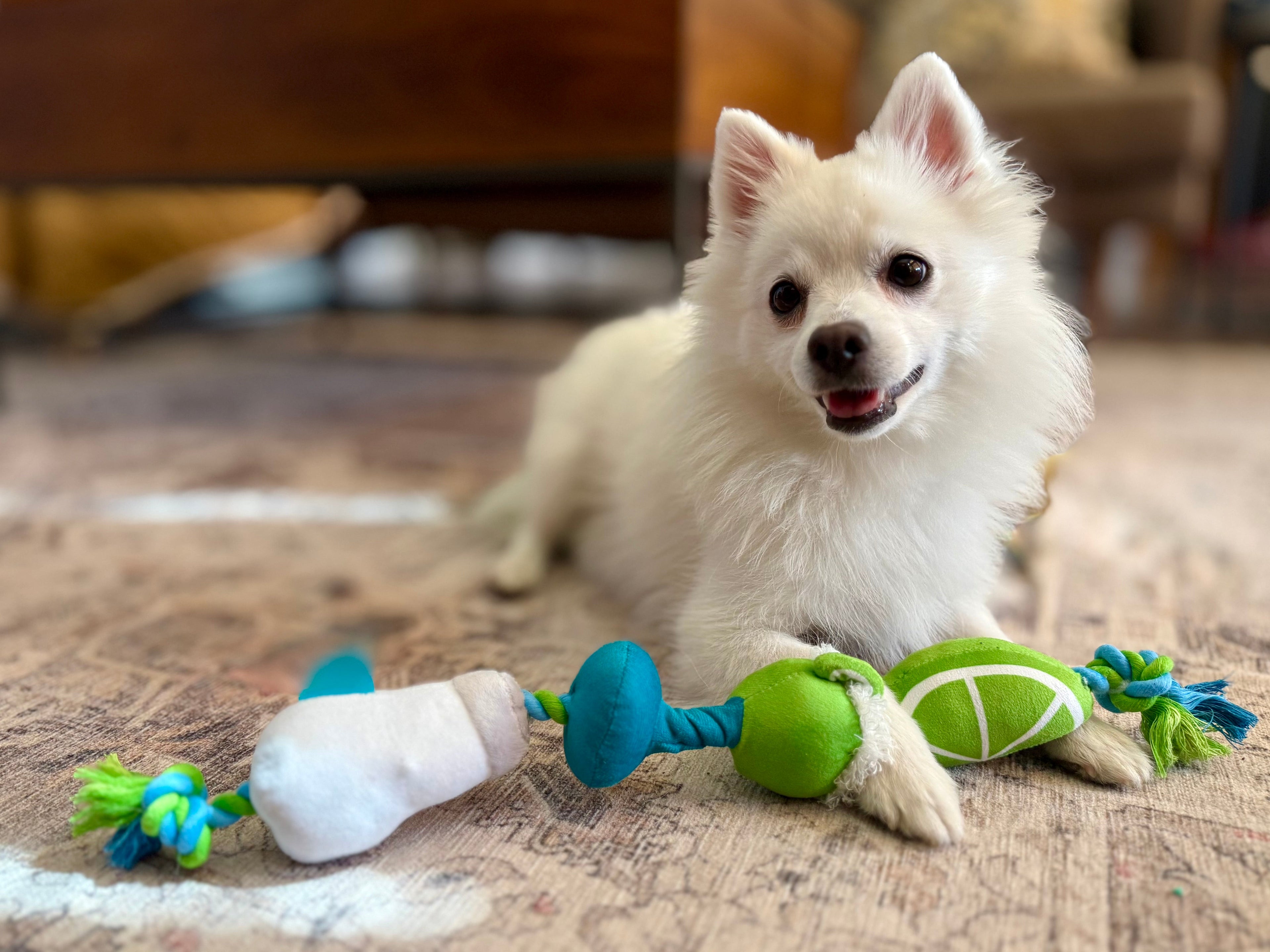Best of Toys (for our Bitches & Boys)