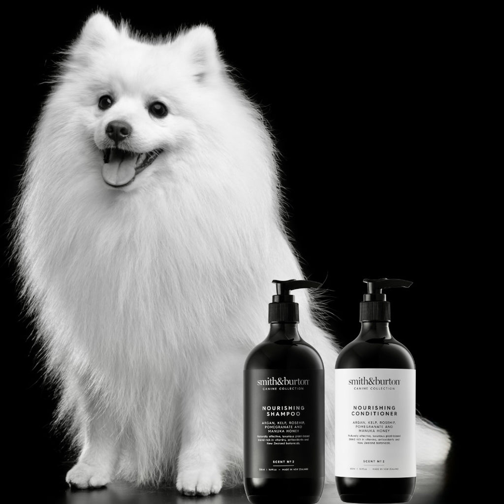 SHOW SPECIAL:  SHAMPOO, CONDITIONER, DETANGLER, WATERLESS SHAMPOO & WIPES