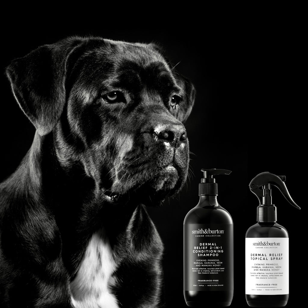 VET CARE BUNDLE