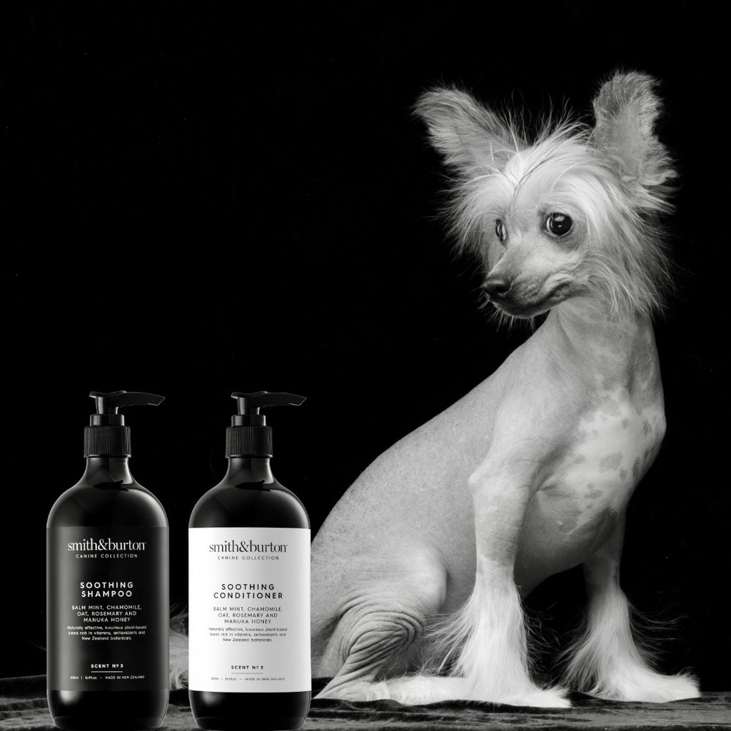 SHOW SPECIAL:  SHAMPOO, CONDITIONER, DETANGLER, WATERLESS SHAMPOO & WIPES