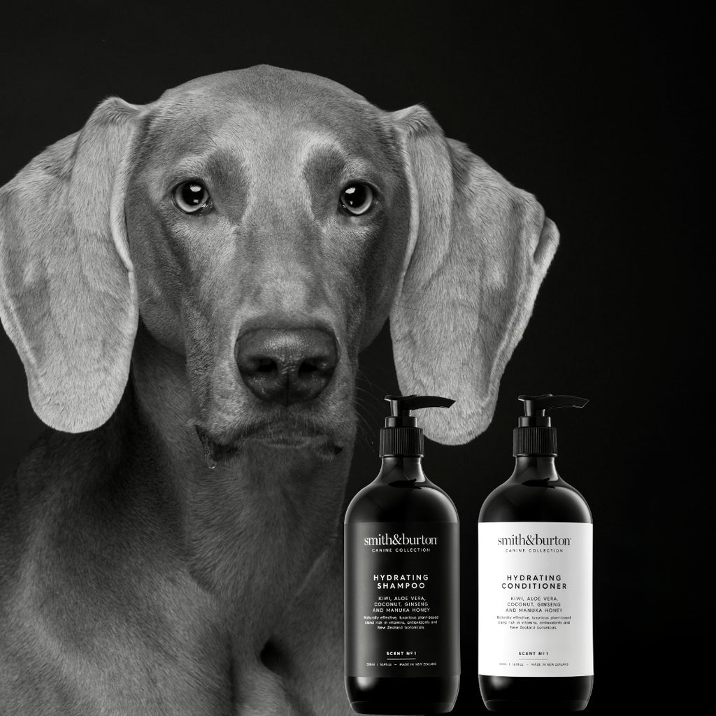 SHOW SPECIAL:  SHAMPOO, CONDITIONER, DETANGLER, WATERLESS SHAMPOO & WIPES