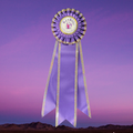 "Bling My Flat"- 4" Rosette Head with 3-12" streamers